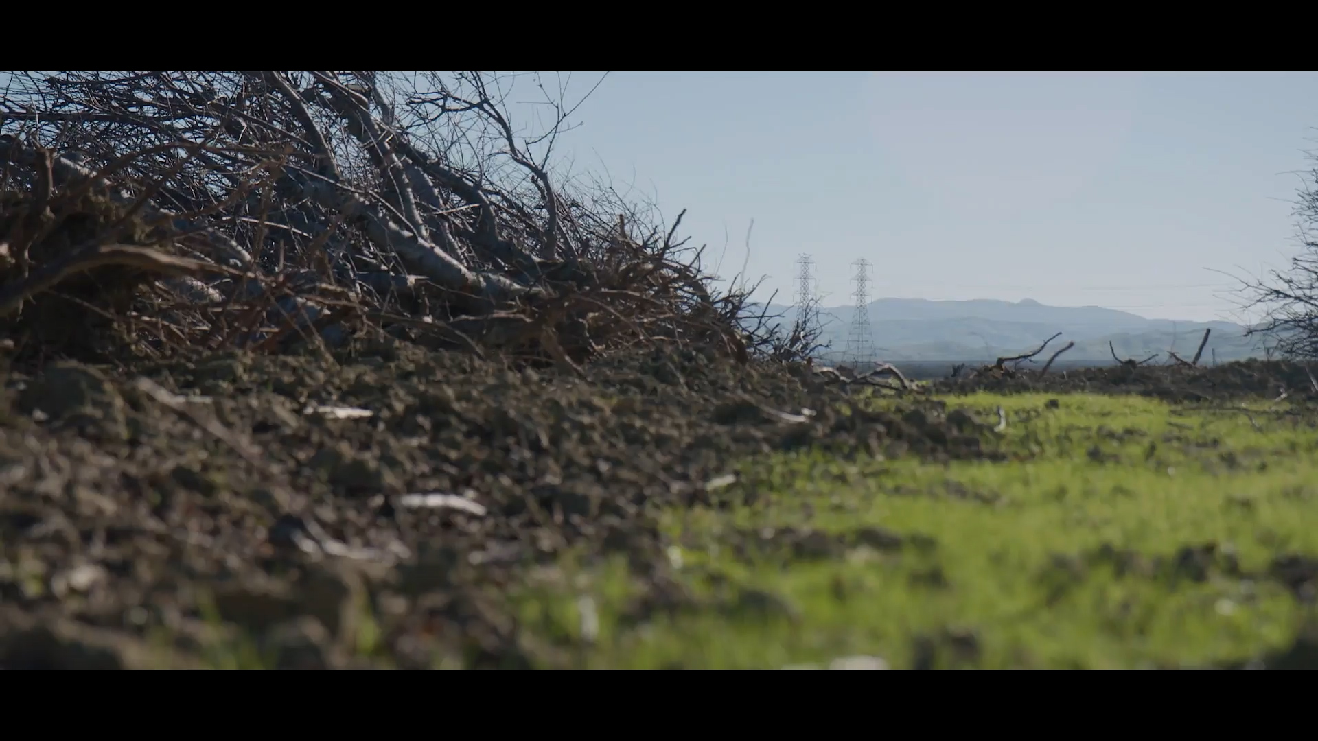 Feast or Famine frame 02